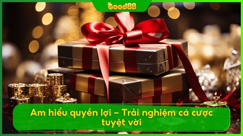 Người chơi cần hiểu các điều khoản điều kiện để có trải nghiệm cá cược suôn sẻ