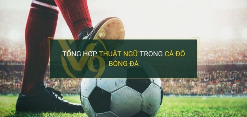 image - Thuật Ngữ Cá Độ Bóng Đá – Cẩm Nang Soi Kèo Nhà Cái 5 Chuẩn Nhất